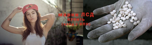 ГАЛЛЮЦИНОГЕННЫЕ ГРИБЫ Волосово